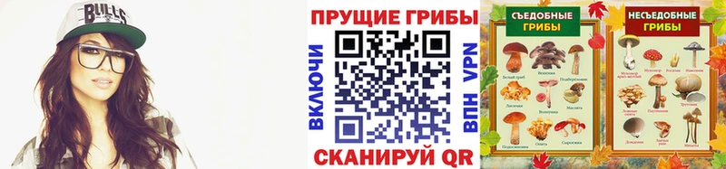 Купить  Ворсма  Галлюциногенные грибы Cubensis 